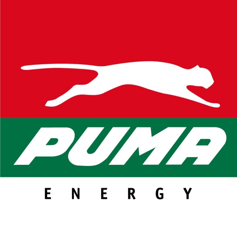 Company Secretary & Manager for Legal and Corporate Affairs at Puma Energy