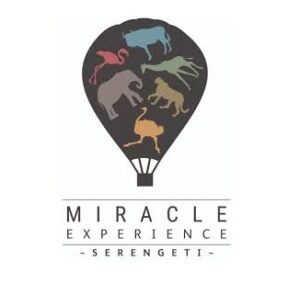 Miracle Experience logo