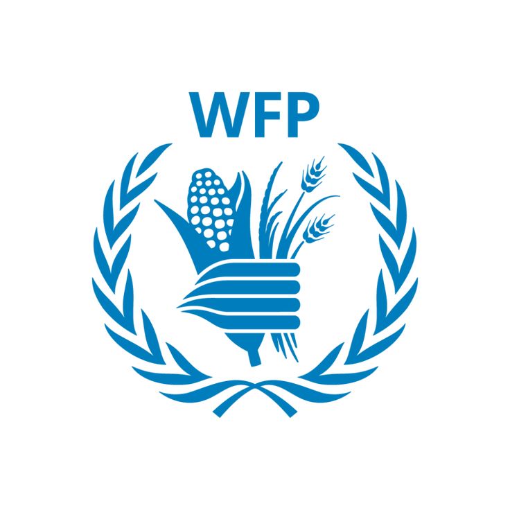 WFP - World Food Programme - logo