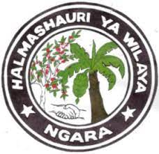 Ngara-District-Council-logo