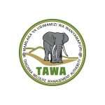 Mamlaka ya Usimamizi wa Wanyamapori (TAWA)